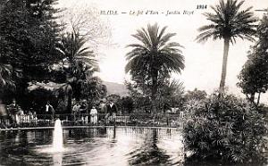 2942- Blida - Jardin Bizot - Jet d'eau - 1914